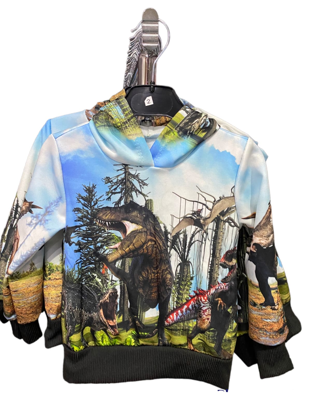 Dinosaurier Hoodie Pullover 86/92