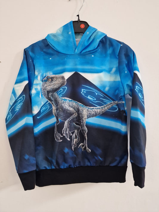 Dinosaurier Hoodie Pullover blau